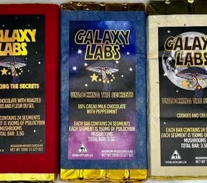 Galaxy Labs Mushroom Chocolate Bar