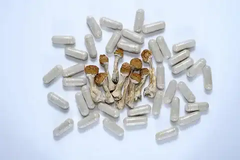 microdose capsules toronto