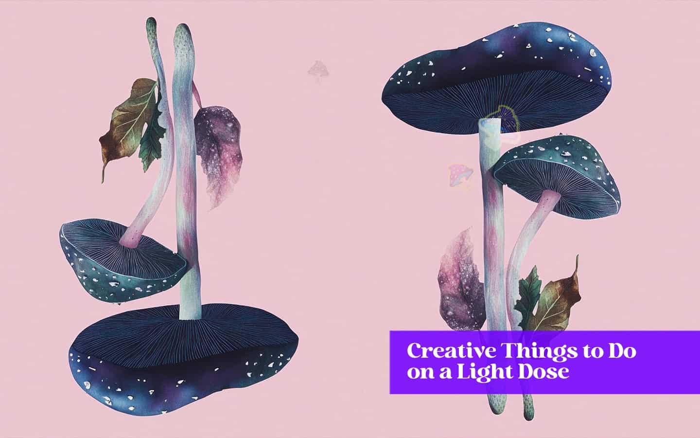 creative things to do while on shrooms