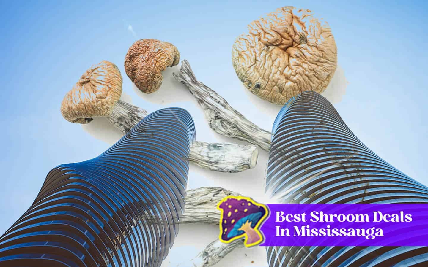 best magic mushroom deals mississauga
