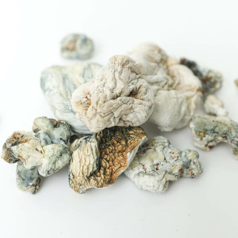 enigma shrooms 3 magic mushroom delivery toronto