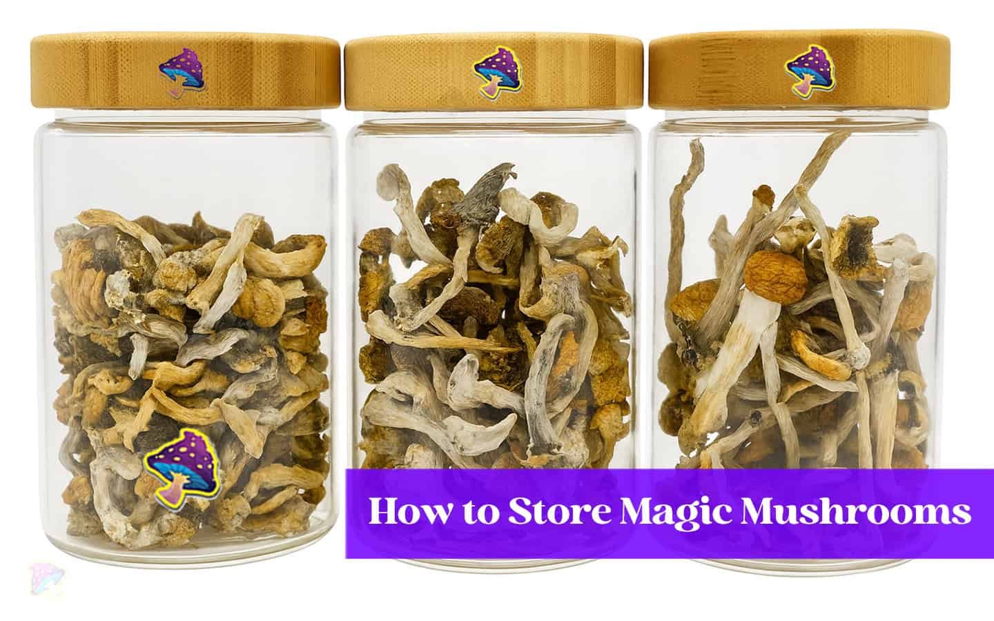 how to store magic mushrooms the indepth guide
