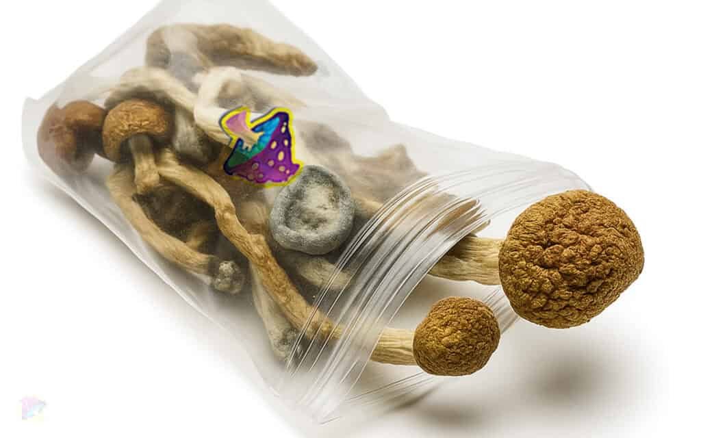 vaccum sealed magic mushroom bags
