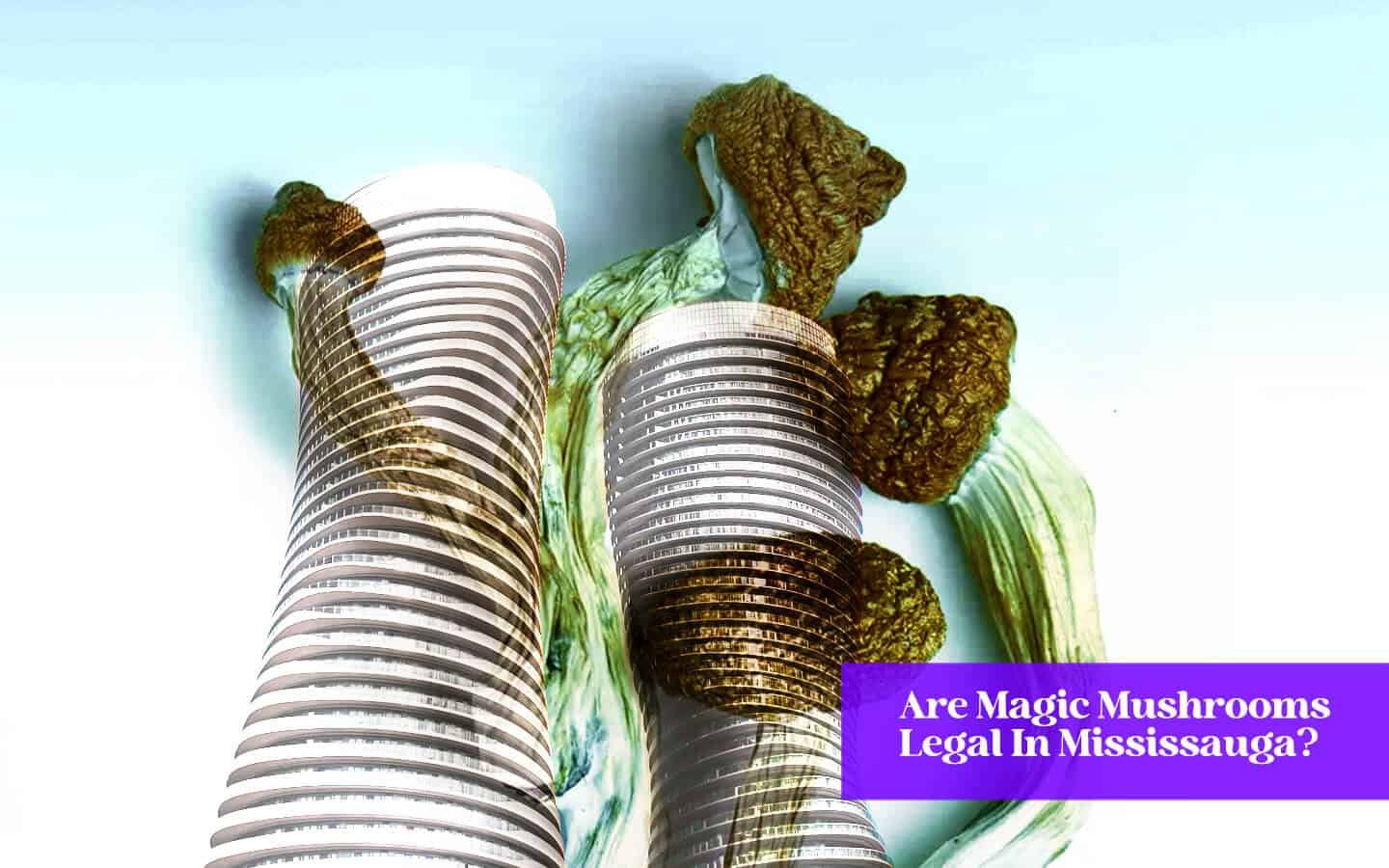 are magic mushrooms legal in mississauga
