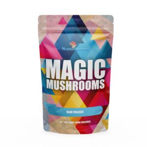 Bluey Vuitton Magic Mushroom