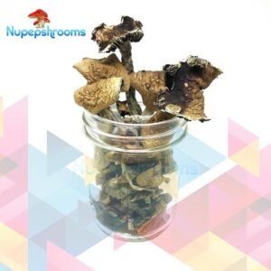Bulk Brazilian Mushrooms