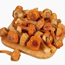 Agricus Blazei Murrill Mushrooms