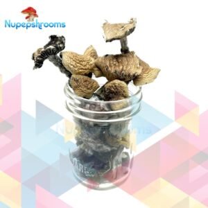 Bulk Cambodian Magic Mushrooms