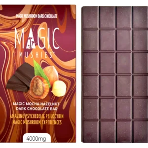 Magic Mushroom Dark Chocolate Bar | 4000 mg