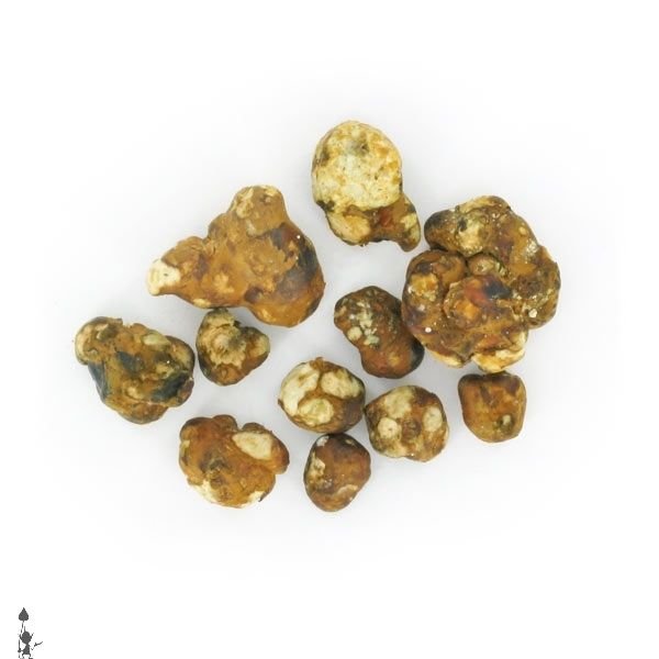 Magic Mokum Truffles - Image 3