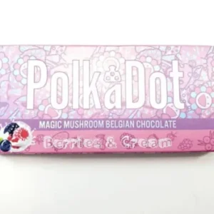 PolkaDot Mushroom Chocolates Berries and Cream