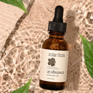 BUY QUALITY AYAHUASCA FOR SALE ONLINE – BEST DMT AYA