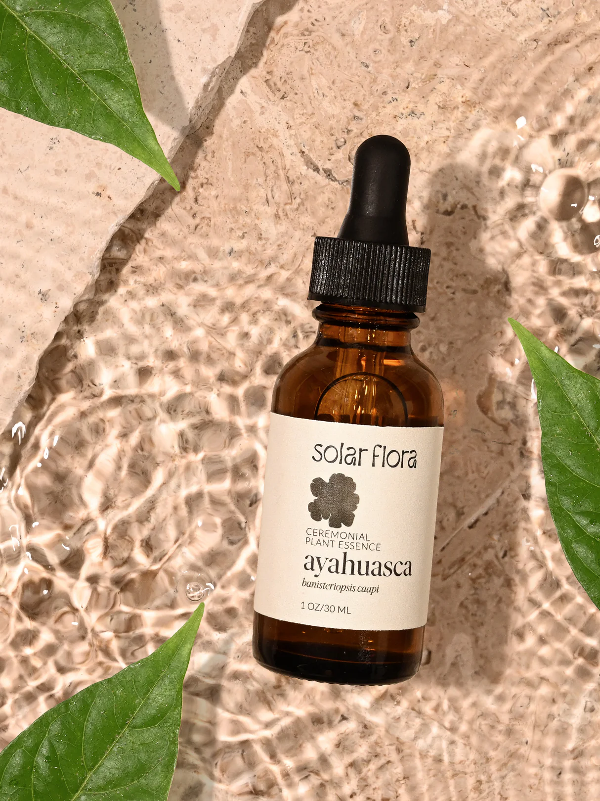BUY QUALITY AYAHUASCA FOR SALE ONLINE – BEST DMT AYA