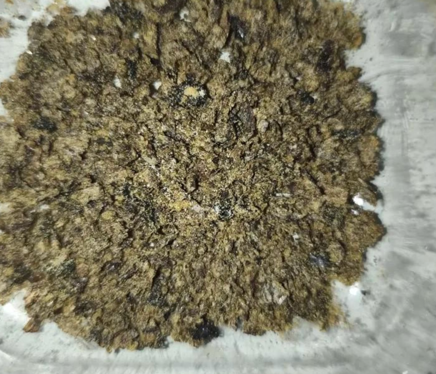 BUY CHANGA DMT ONLINE – ORDER QUALITY CHANGA DMT FOR SALE NEAR YOU - Image 2