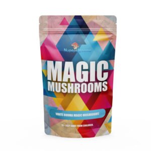 White Burma Magic Mushrooms