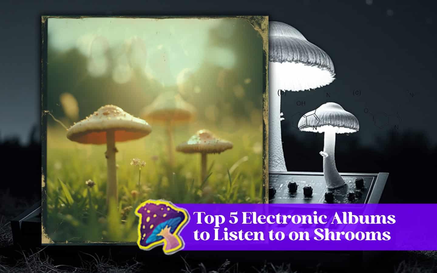 top 5 electronic albums to listen to on shrooms
