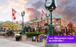 are shrooms legal in oakville canada
