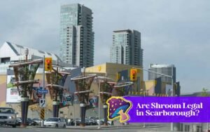 are shrooms legal scarborough
