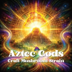 aztec gods
