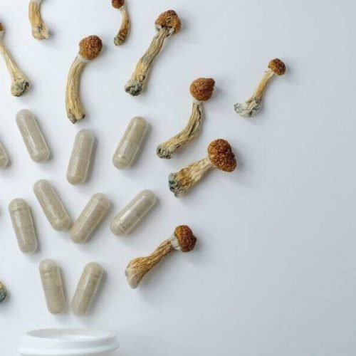 microdosing toronto