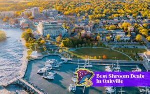 best magic mushroom deals in oakville