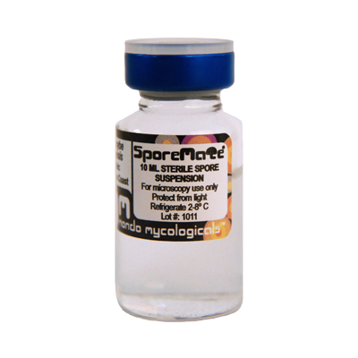 Burma psilocybe cubensis spore vial