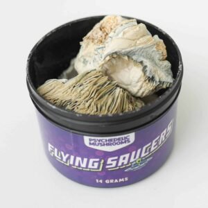 Flying Saucer