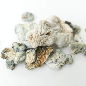enigma shrooms 3 magic mushroom delivery toronto