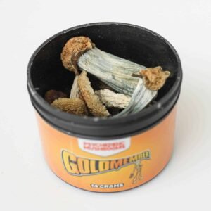 goldmember shrooms