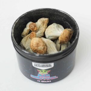 jedi mind fuck mushrooms Canada