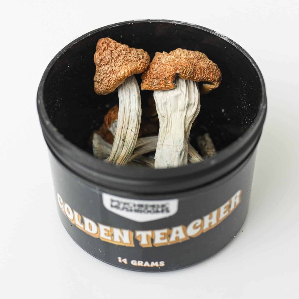 magic mushroom delivery