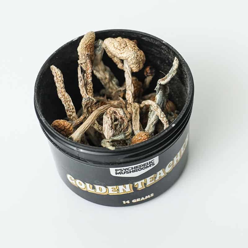 magic mushrooms oakville favourite products