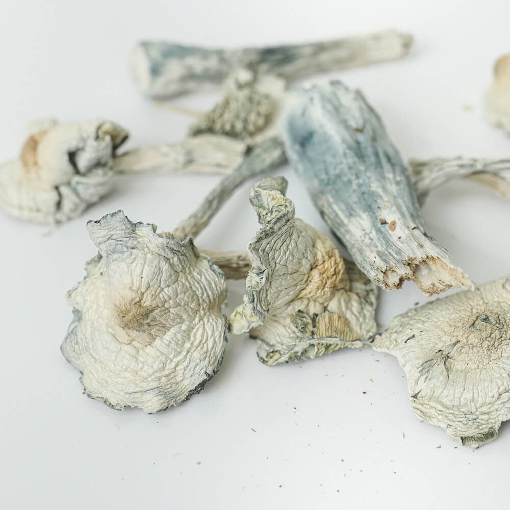 magic mushrooms oakville what to expect with your delivery