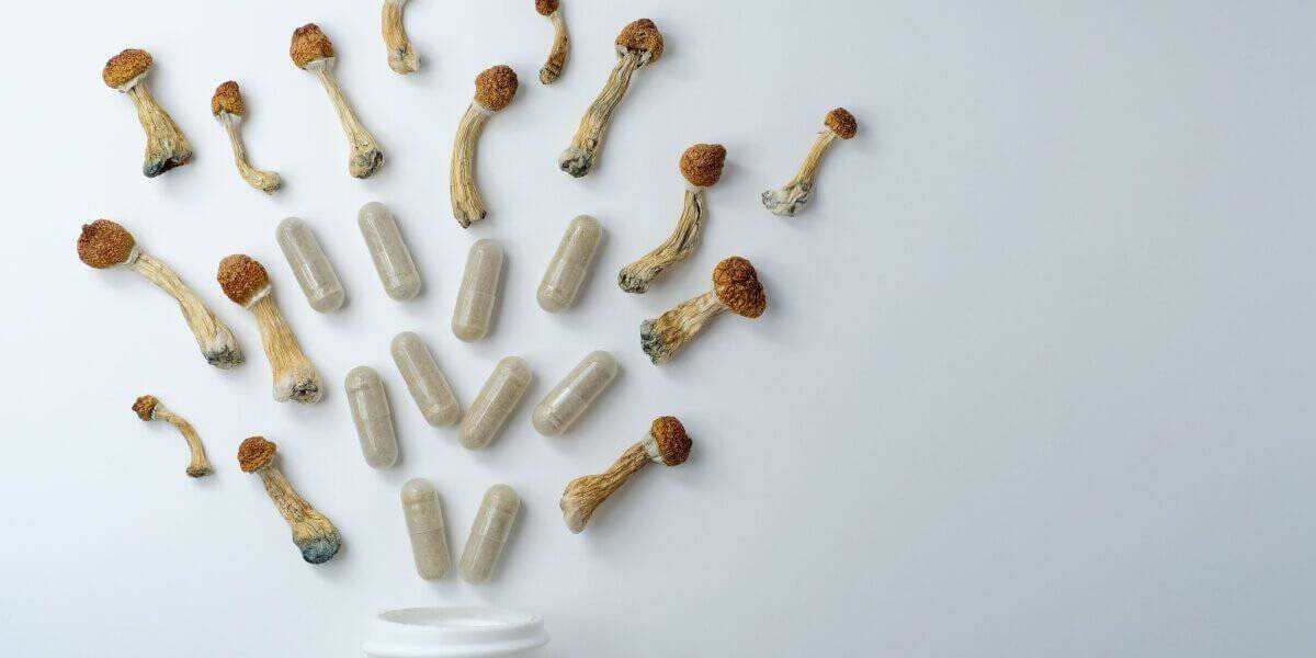Microdosing for Focus and Creativity: What People Report